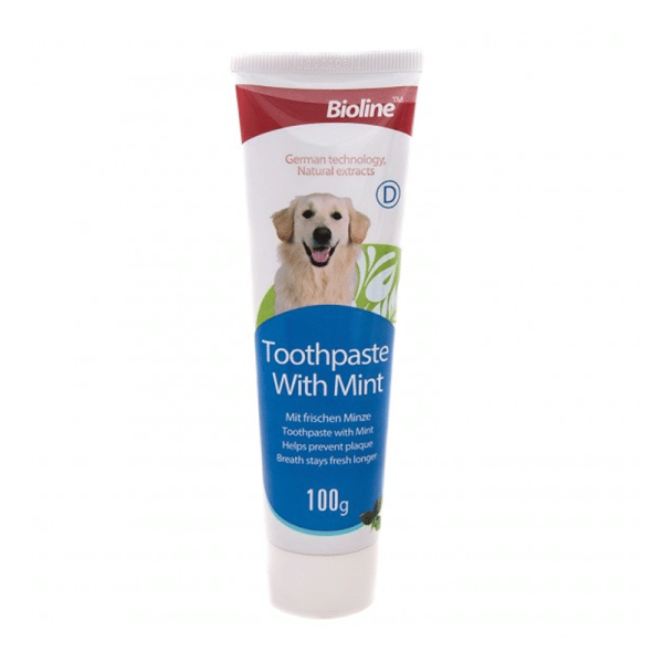 Pasta de Dientes con Menta