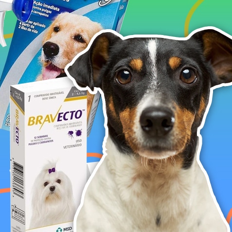 Productos antiparasitarios para perros | TusMascotas.cl
