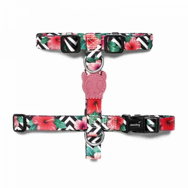 Arnes H ZeeDog Mahalo - M