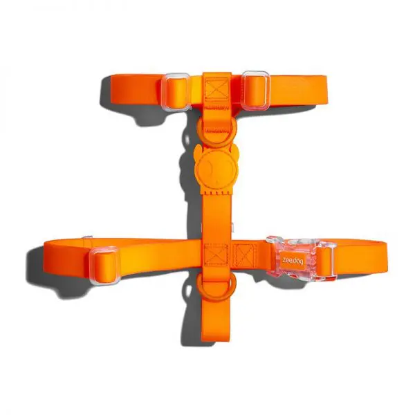 Arnés H Zeedog Neopro Tangerine - L