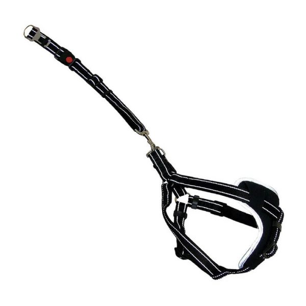 Arnés con Correa Multiuso Negro - XL