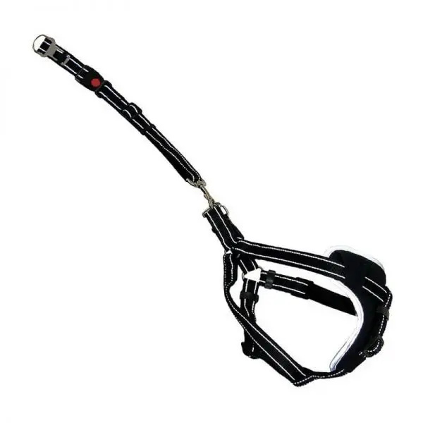 Arnés con Correa Multiuso Negro - XL