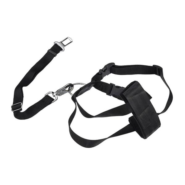 Arnes para auto S 30-60cm