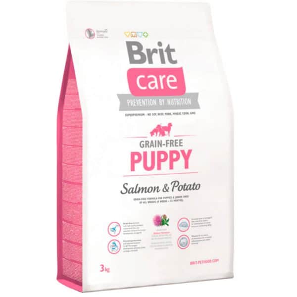 Brit Puppy Salmón