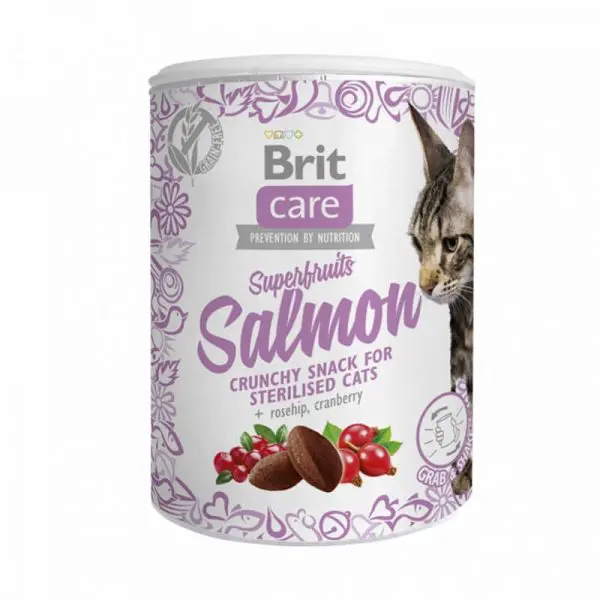 Lata Snack Superfruits Salmon 100g Brit