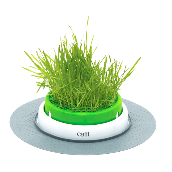 CatIt Grass Planter