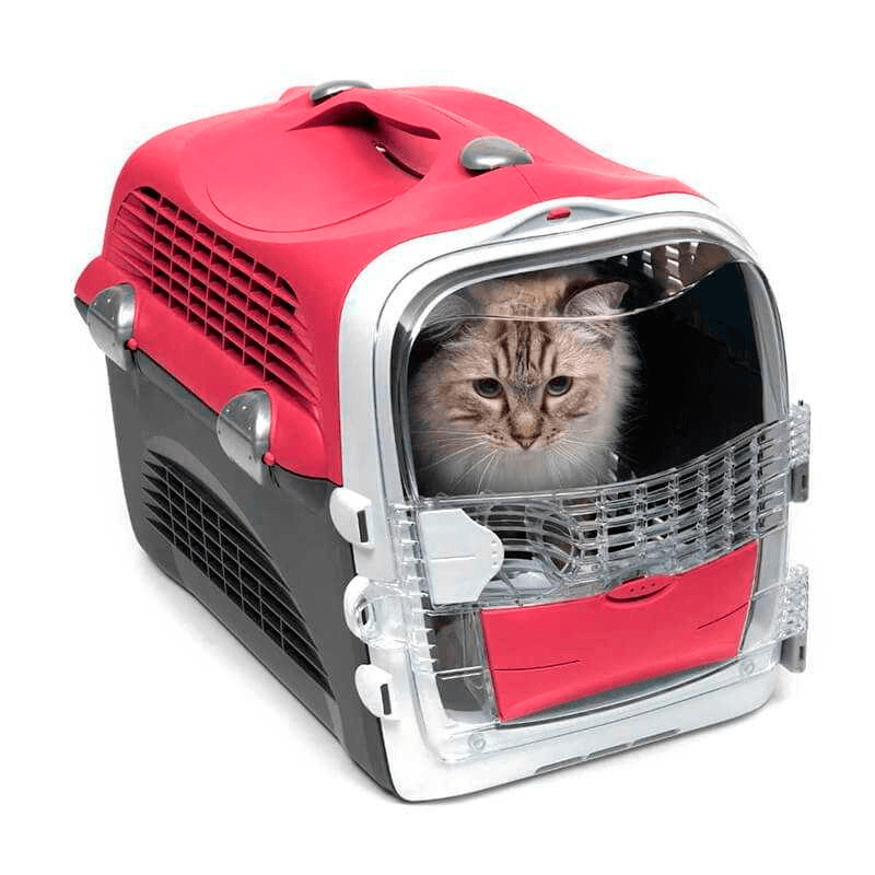 Canil Transportador Caja Transporte Para Gatos Jaula Caja