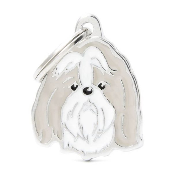 Grey Shih Tzu Chapita MyFamily