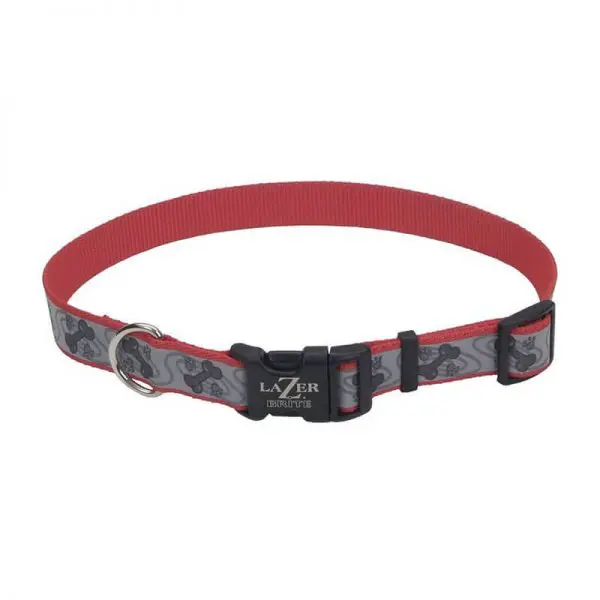 Coastal Collar Lazer-Brite Paws-Bones-S