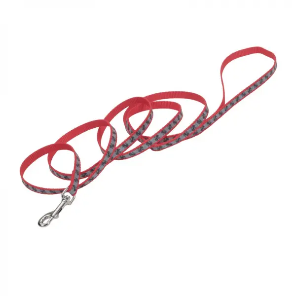 Coastal Lazer-Brite Correa Paws-Bones-L