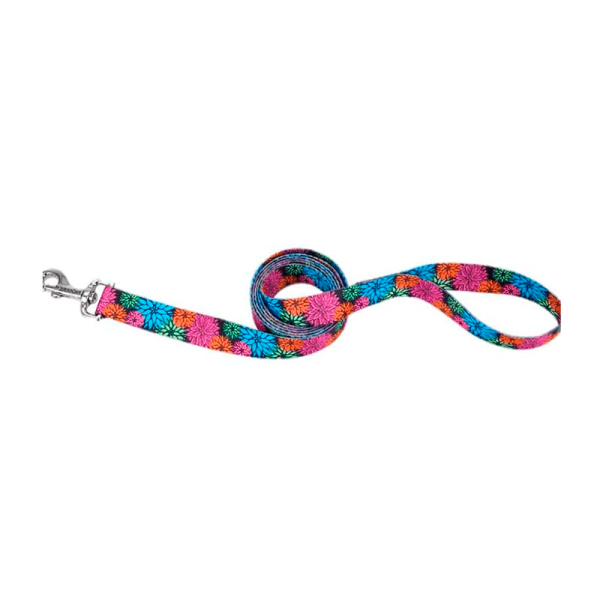 Coastal Style Correa Wildflower-S
