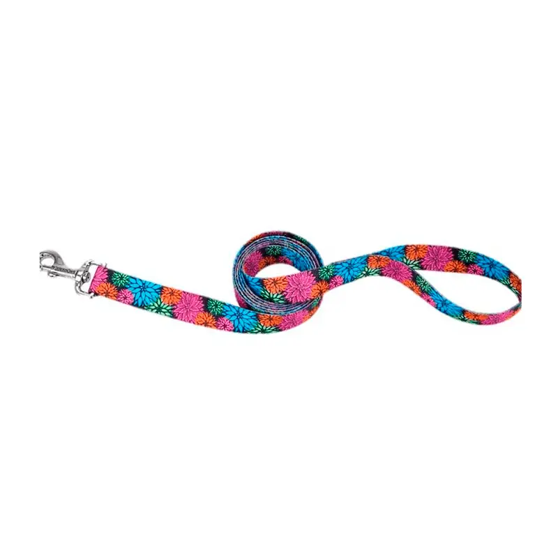 Coastal Style Correa Wildflower-S Coastal Style Correa Wildflower-S