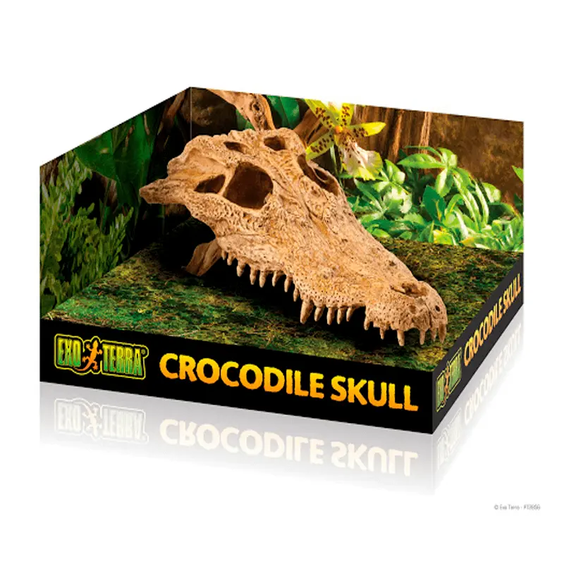 Exo Terra Deco Refugio Cráneo T-Rex Exo Terra T-Rex Skull