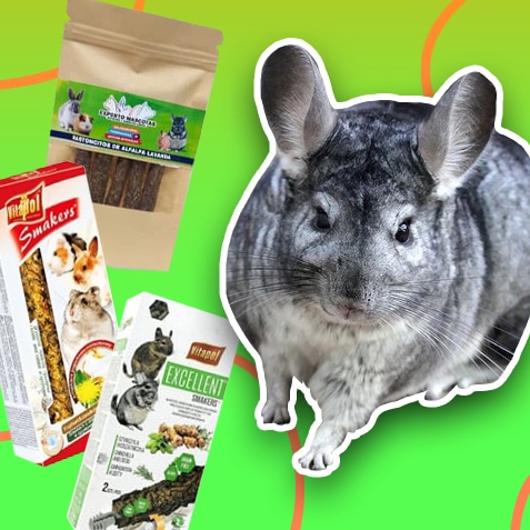 Golosinas para chinchillas | TusMascotas.cl