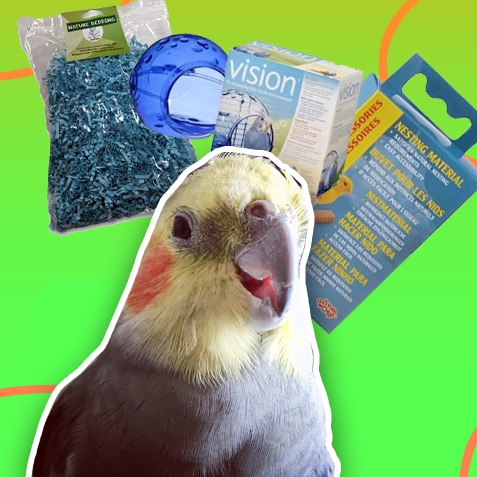 Productos de higiene para tu ave | TusMascotas.cl