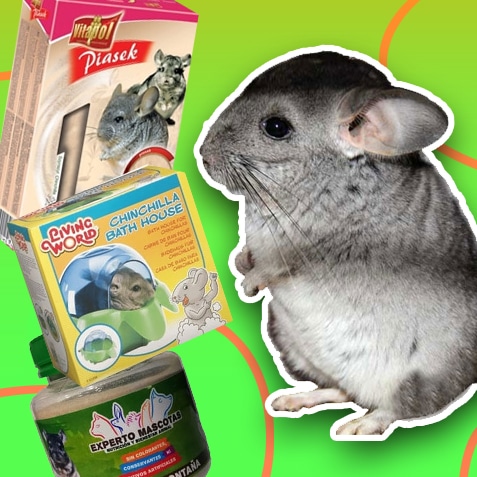 Productos de higiene para chinchillas | TusMascotas.cl