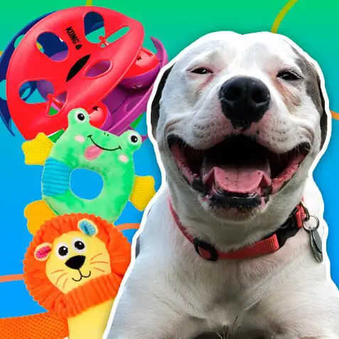 Los mejores juguetes interactivos para perros
