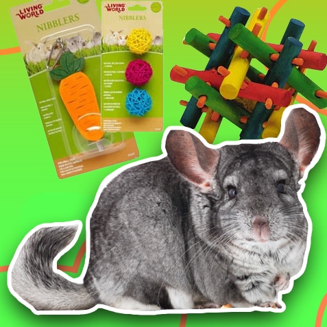 Juguetes para chinchillas | TusMascotas.cl