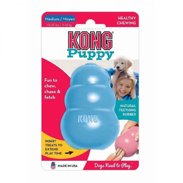 Kong Puppy Celeste Medium