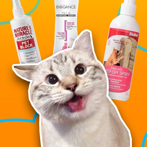 Limpieza y repelentes para gatos | TusMascotas.cl