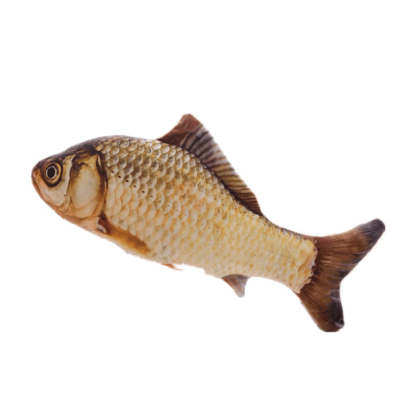 Peluche pez carpa con catnip - S 20 cm
