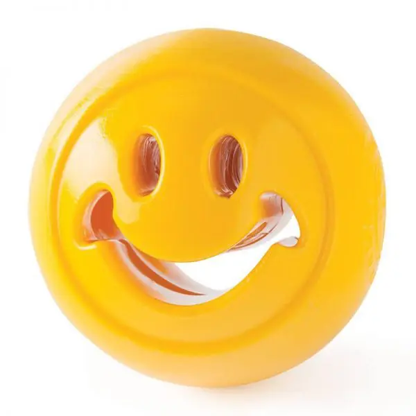 Planet Dog Nooks Amarillo Felicidad