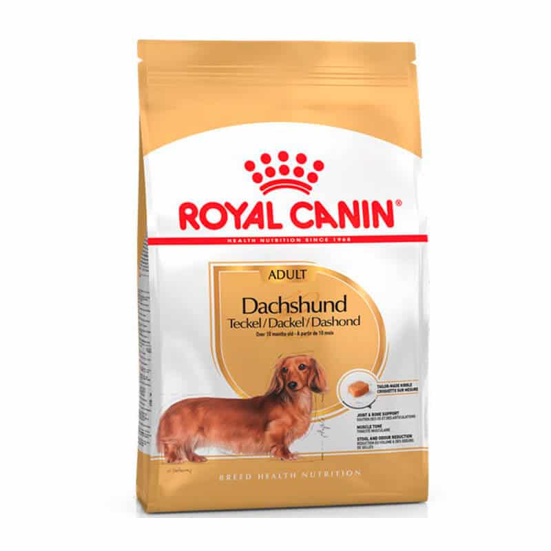Dachshund Adulto Royal Canin 2,5 Kg