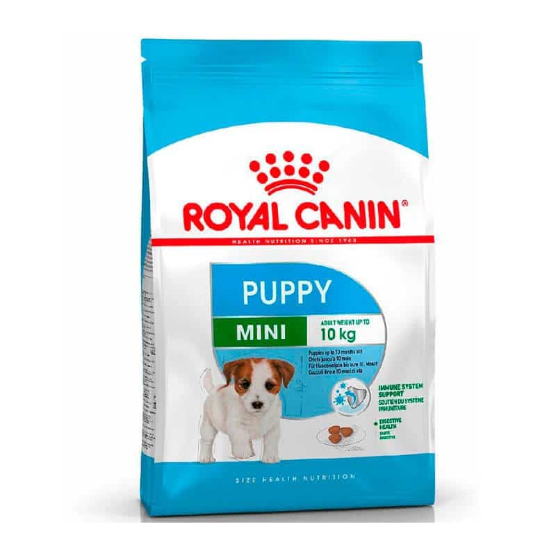 absceso Oportuno Travieso Royal Canin Mini Puppy Perro 1 Kg — TusMascotas.cl Alimento