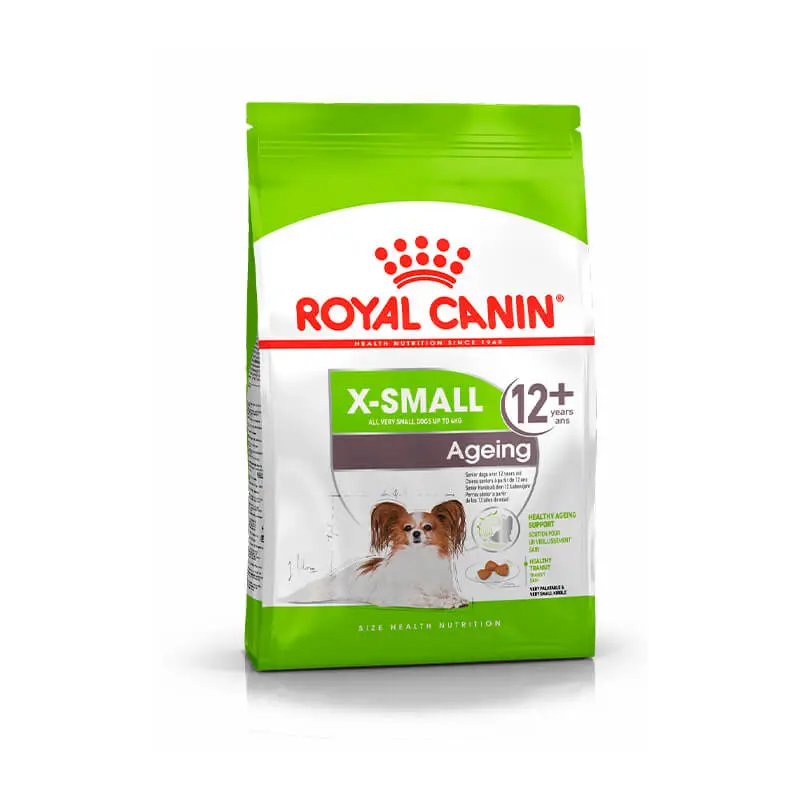 X-small Ageing 12+ X-small Ageing 12+