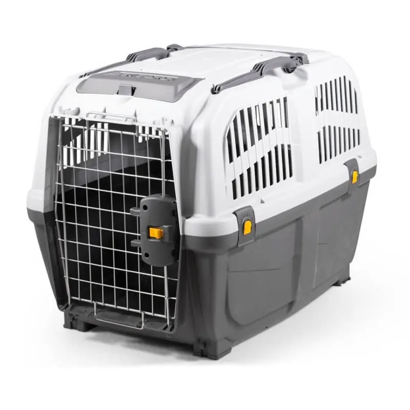 Skudo - Transportador 4 Transportador Skudo 4