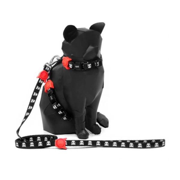 Zeecat Arnes y Correa Skull