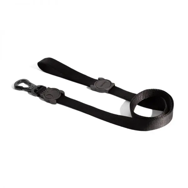 Correa Zee.Dog Gotham S