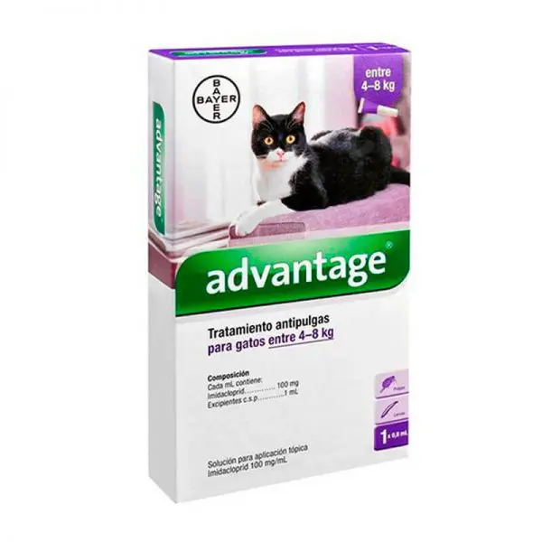 Pipeta Advantage para Gatos - 4 Kg a 8 Kg