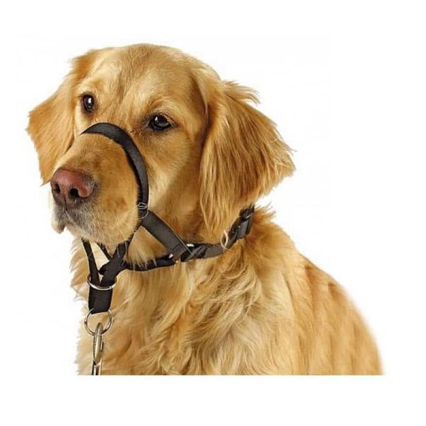 Collar Anti Tirones - M