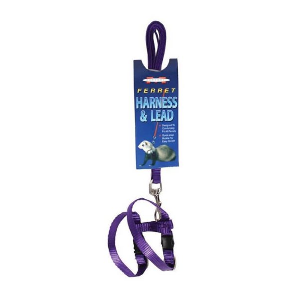 Arnes Huron Marshall - Morado