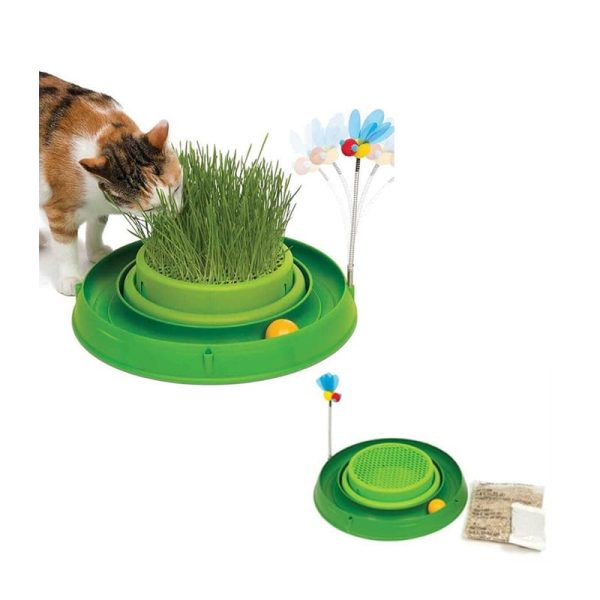 Cat Play Circuito 3 En 1 Con Pasto