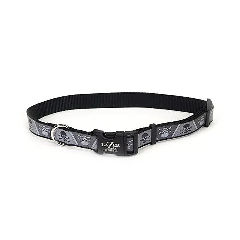 Coastal Lazer Brite Collar-Skulls-S Coastal Lazer Brite Collar-Skulls-S