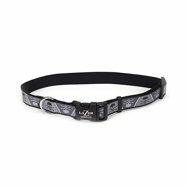 Coastal Lazer Brite Collar-Skulls-L