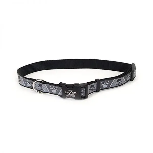 Coastal Lazer Brite Collar-Skulls-M