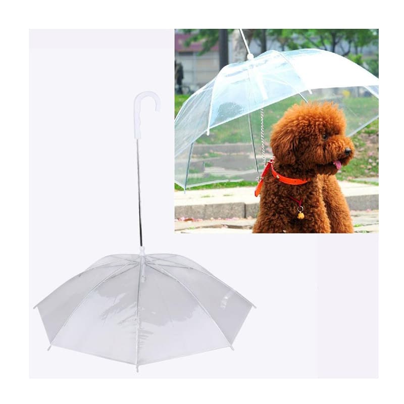 Paraguas para Perro con Cadena