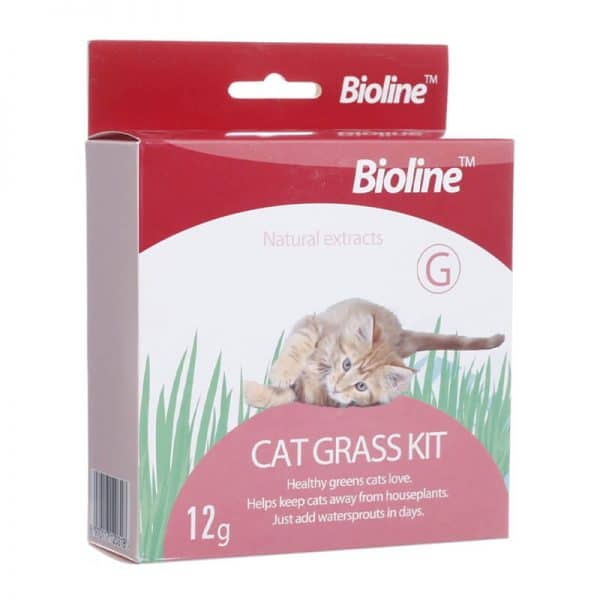 Cat Grass kit