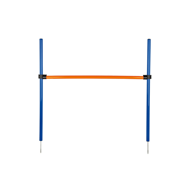 Vallas Agility de Pawise