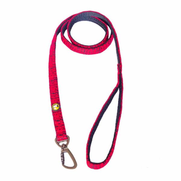 Wonder Dog Correa Leonar - L