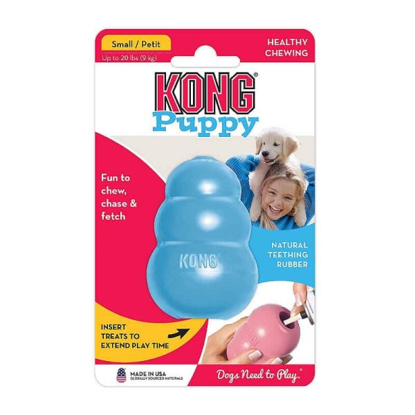 Kong Puppy Celeste Small