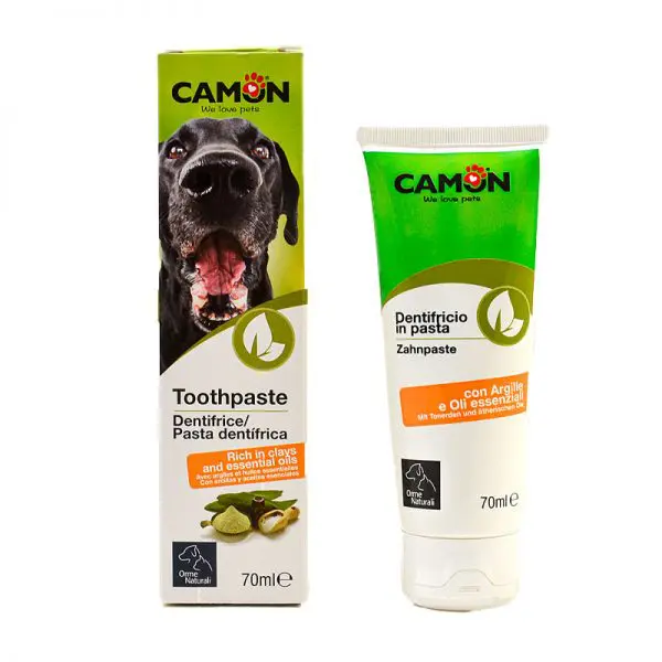 Pasta de Dientes Camon