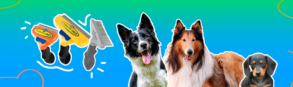 Maquina para cortar pelo de perro - Animal Lovers Tienda de Mascotas Y  Farmacia Veterinaria