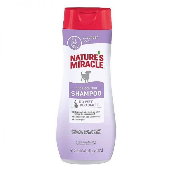 shampoo odor control lavender