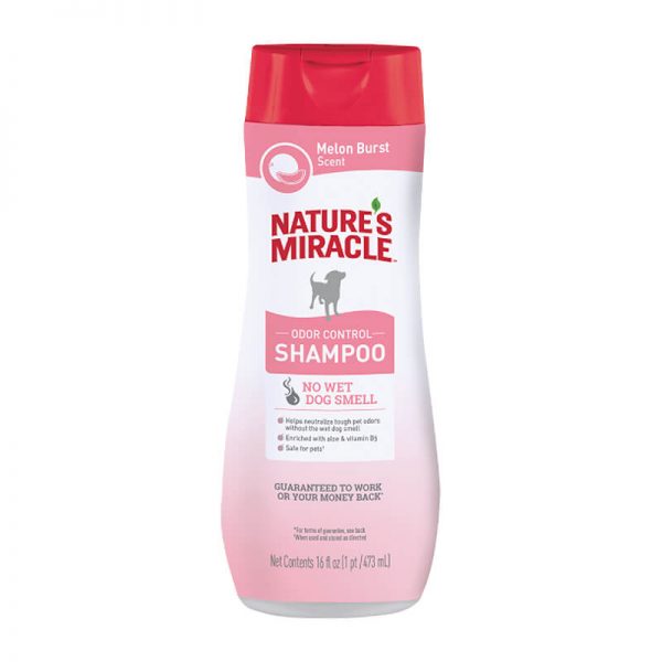 shampoo odor control