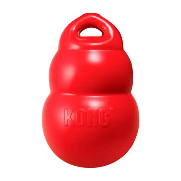 Kong Bounzer