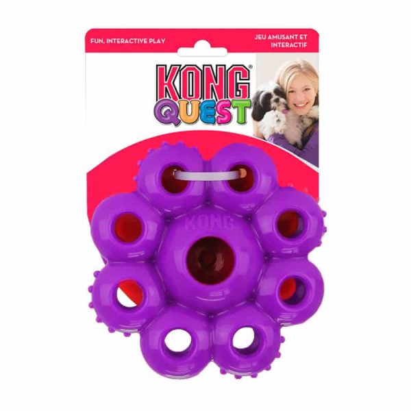 Kong Quest StarPods Purpura